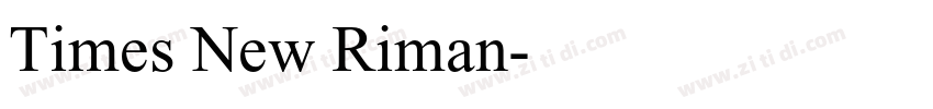 Times New Riman字体转换